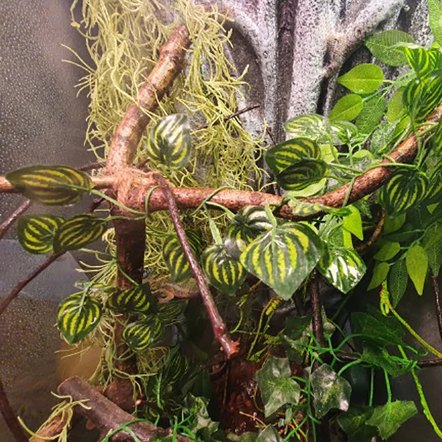 Artificial Vine Lizards Reptile Terrarium Decoration Chameleons Climb Rest Plants Leaves Length 220cm 6