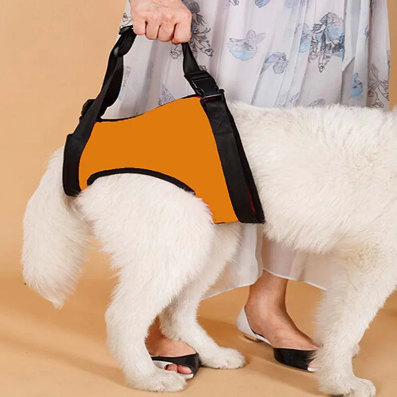 Orange Hind Legs Поводок для собак, поддерживающие ремни для собак, ошейники и Ремни Поводки для питомцев, товары для питомцев - Цвет: Orange Hind Legs