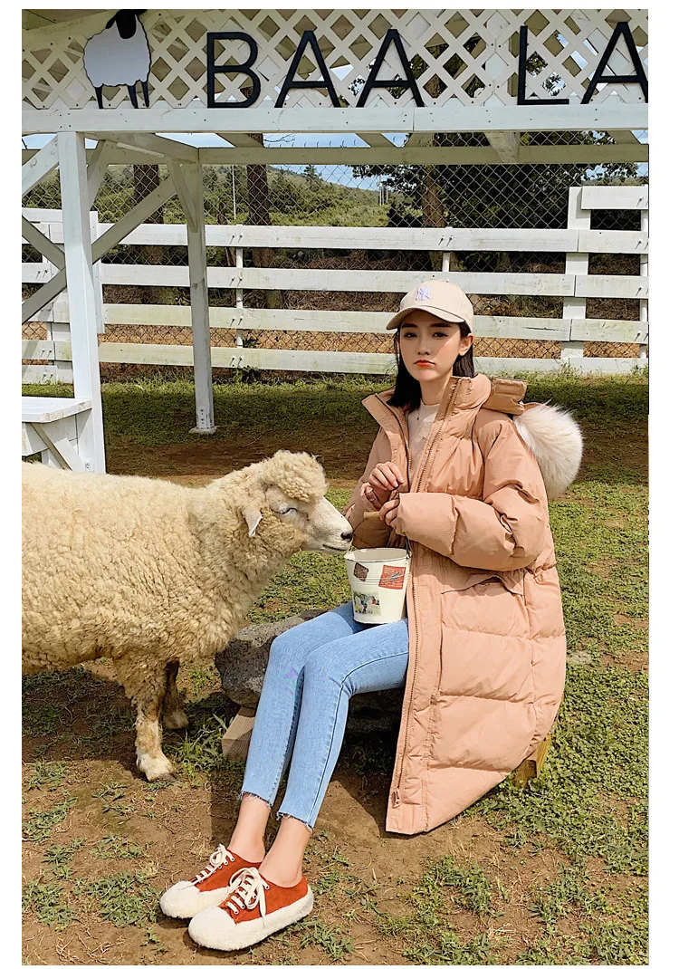 Photo Shoot New Style Best Friend Korean-style Hooded Large Fur Collar INS down Jacket Medium-length Cotton Coat WOMEN'S Co