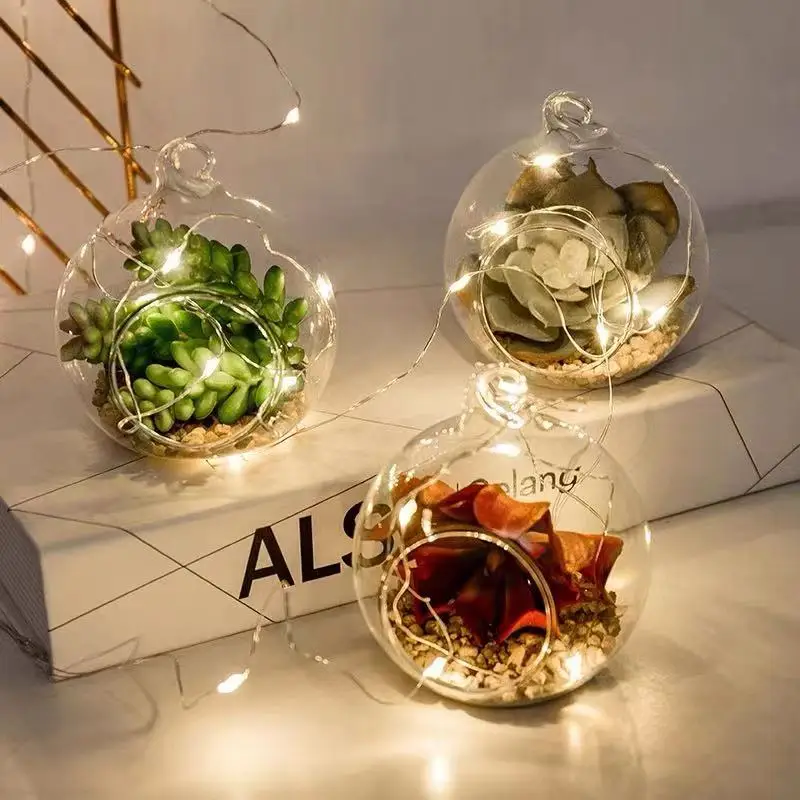 8PCS Transparent Hanging Glass Globe Shape Vase Flower Plant Container Micro Landscape Garden Decoration Pendant 2