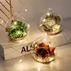 8PCS Transparent Hanging Glass Globe Shape Vase Flower Plant Container Micro Landscape Garden Decoration Pendant 2