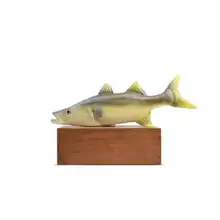 Simulation d'animaux marins, Simulation de thon, fruits de mer, modèle de nourriture, décoration de la maison, jouets cognitifs, éducation précoce