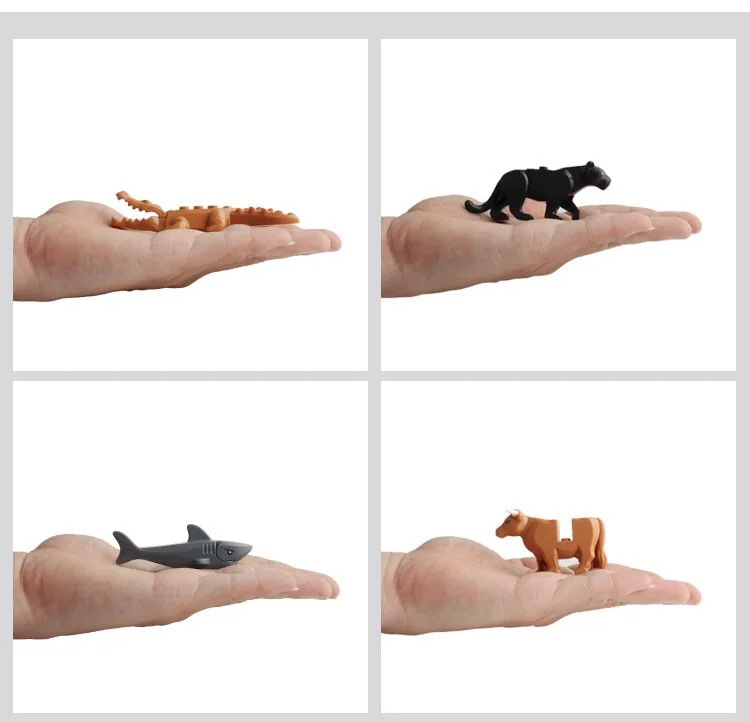 IMG_6790(20200713-133423)