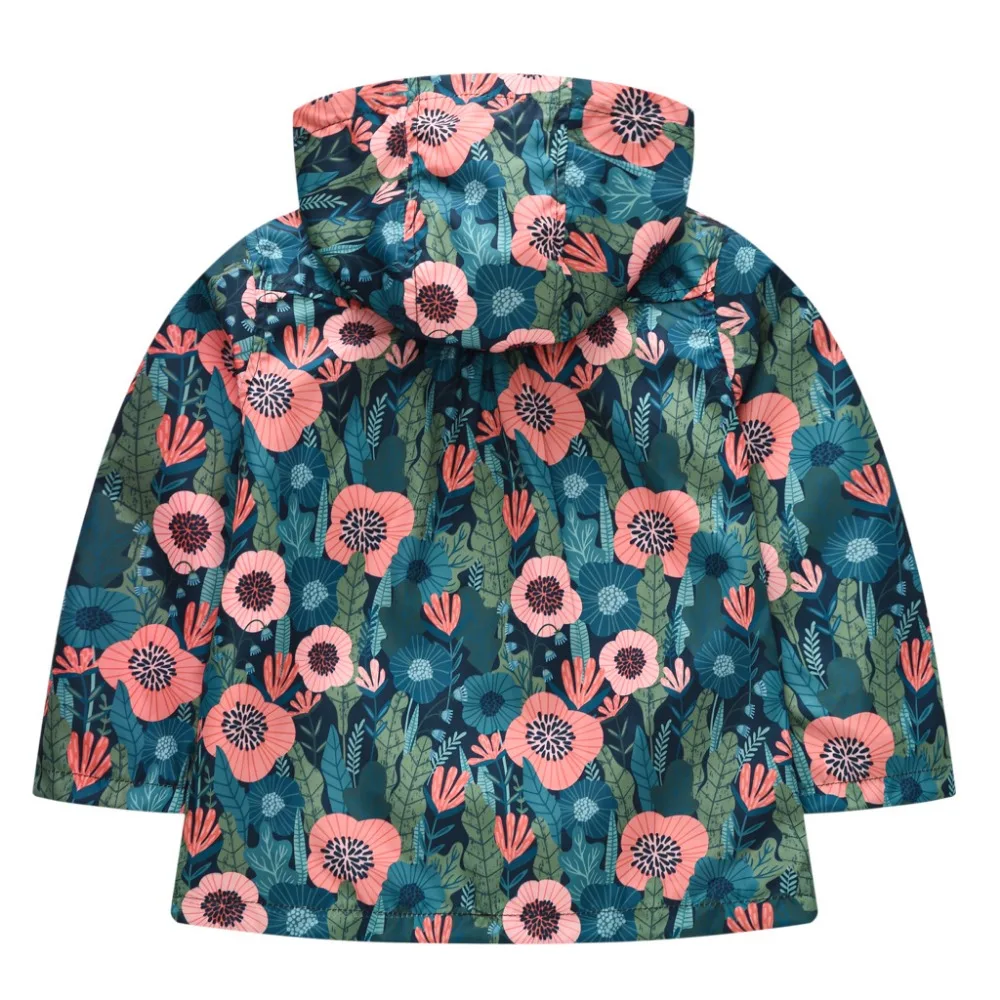 16592685316_1046179288