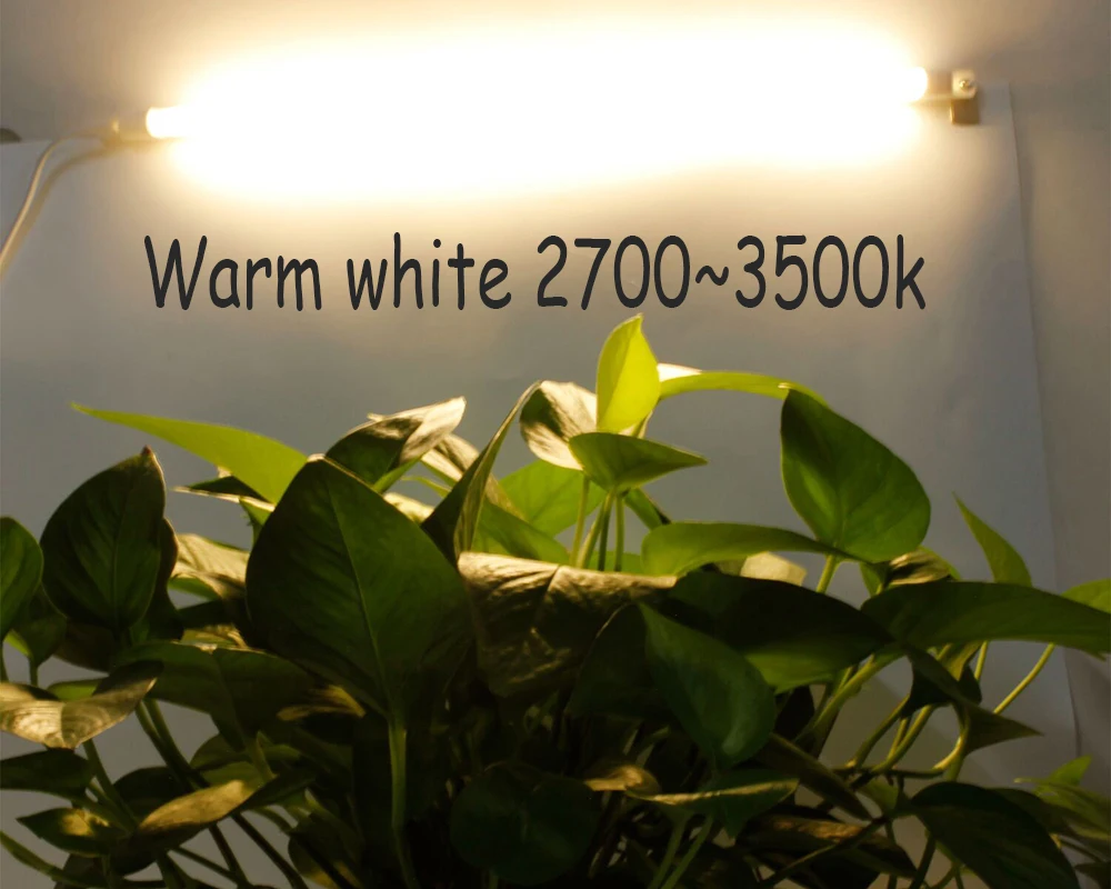 QQ图片20181121105337