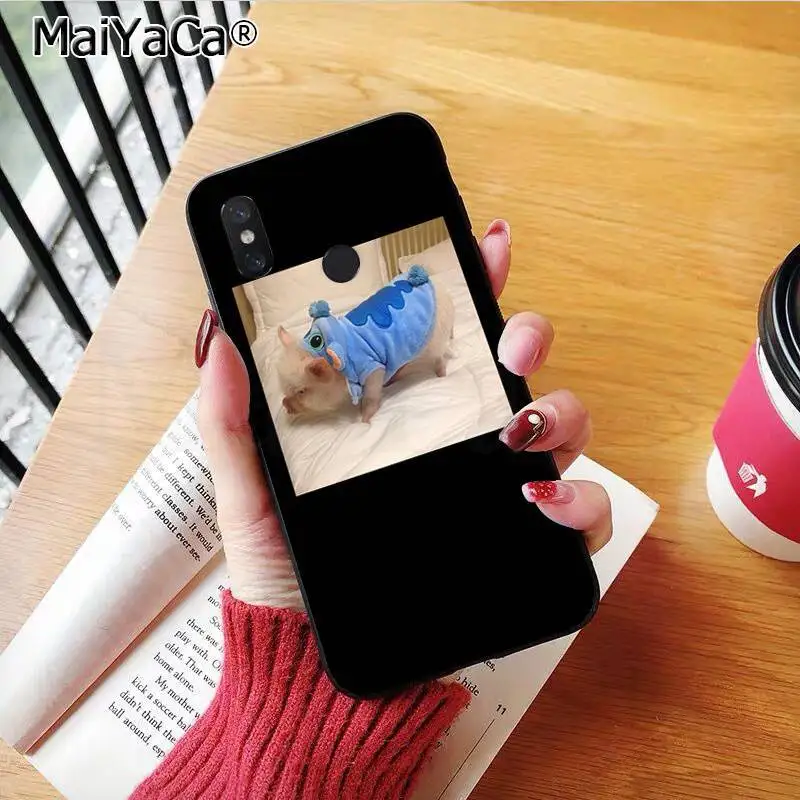 Couples Cartoon Lovely Pink Pet Pig