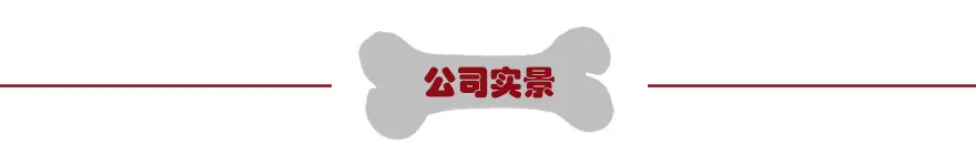 Amazon стиль Анти-притеснения подгузник для собак брюки Мужская Собака физиологические с водонепроницаемым дном Knicker ПЭТ гигиенические штанишки