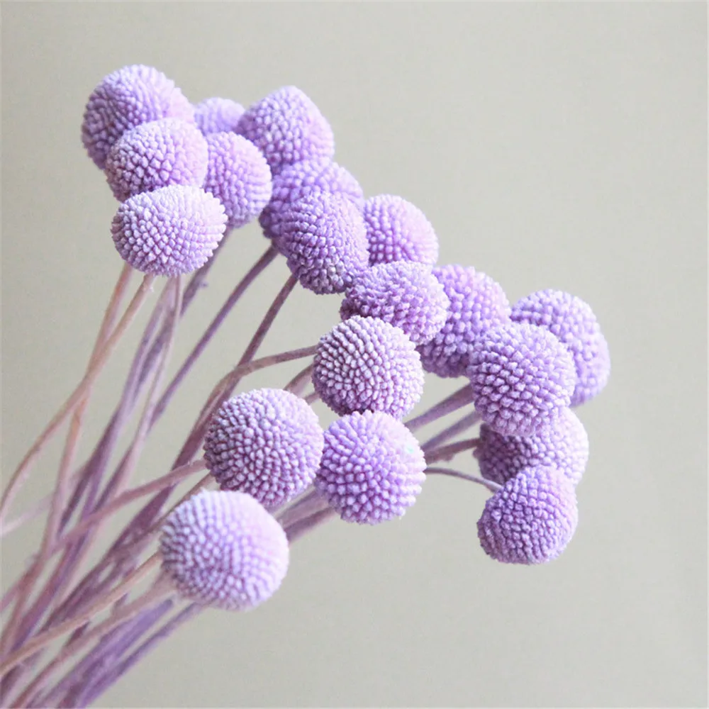 Light purple 10pcs christmas decor yellow billy balls natural dried eternell craspedia bouquets forever gold orbs flower - Цвет: Light purple