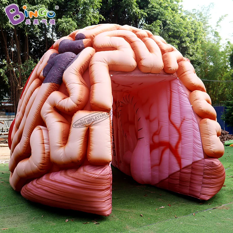 Customized 5.1x4.5x3.6 Meters Inflatable Brain Tunnel Tent For Education / Blow Up Inflated Brain Balloon - BG-H0040 6