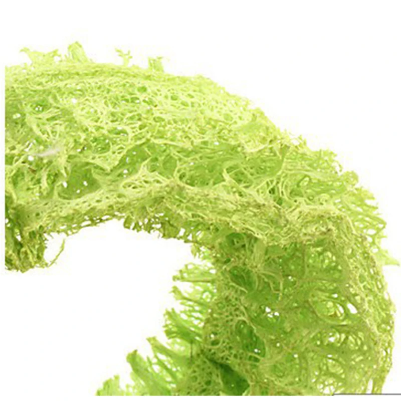 HTB1z7XCIFXXXXadXVXXq6xXFXXXY