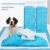 100 Шт Pet Подгузники Абсорбент Pet Dog Training Моча Pad Подгузники для Кошки Собаки Щенка Очистки Дезодорант Pet Cat Dog Supplies