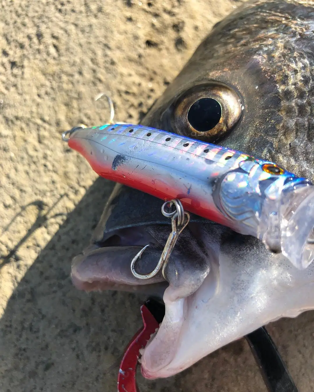 Приманка для рыбалки NOEBY Topwater lure feed popper bait 100 мм 120 мм 150 мм плавающая приманка для рыбной ловли