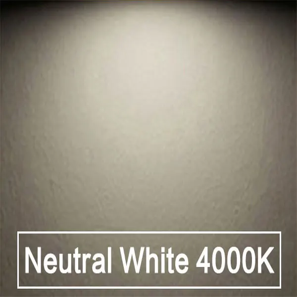 Nature White