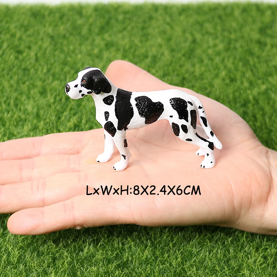PL127-243-2