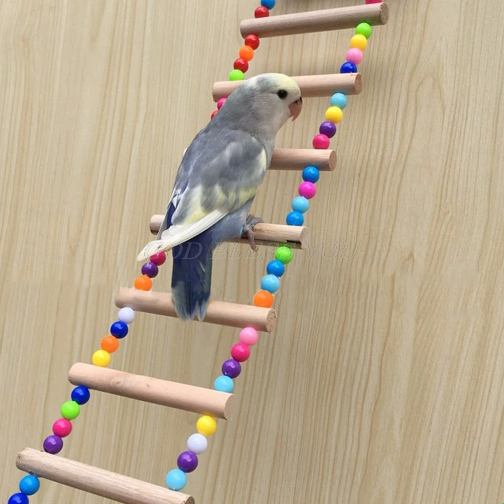 Birds font b Pets b font Parrots Ladders Climbing Toy Hanging Colorful Balls With Natural Wood