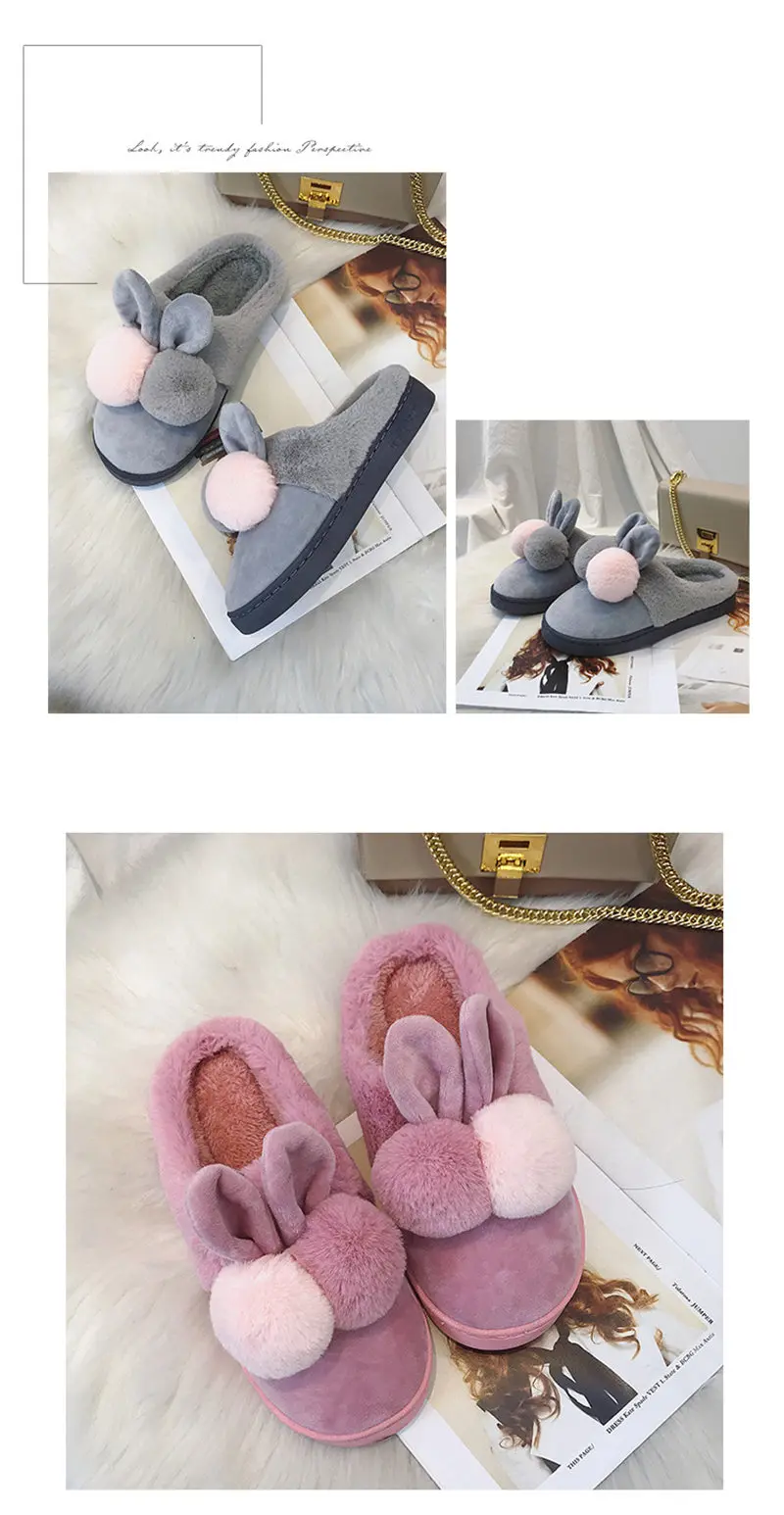 ed7aa6f8d719544792eafc667afaf1cb