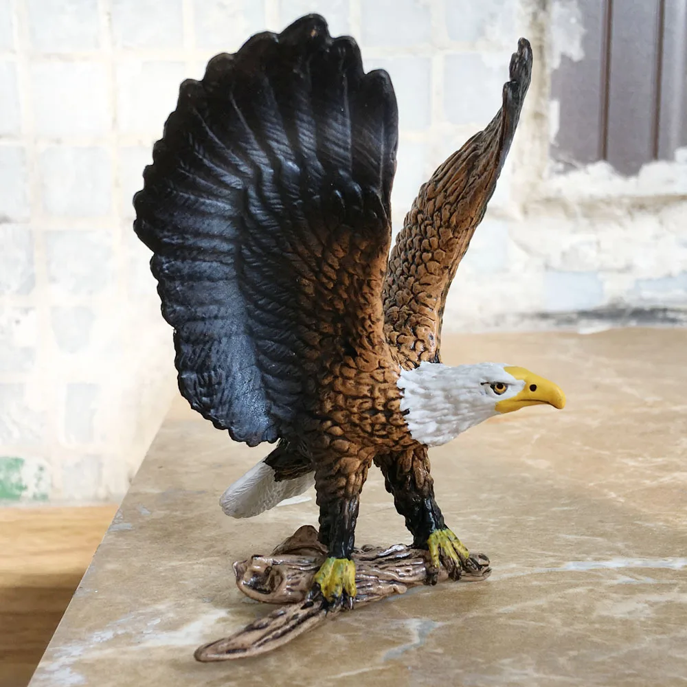 

Animal Model Birds Bald Eagle Bird Scientific And Educational Toy Gift