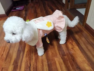 Осенние платья для собак с кроликом милый плюшевый Bichon принцесса розовая юбка с кошкой Одежда для собак XS s m l xl