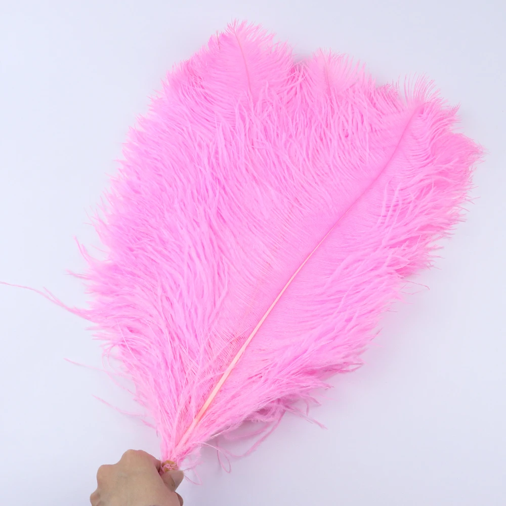 TS0145005 45-50cm ostrich feathers 4