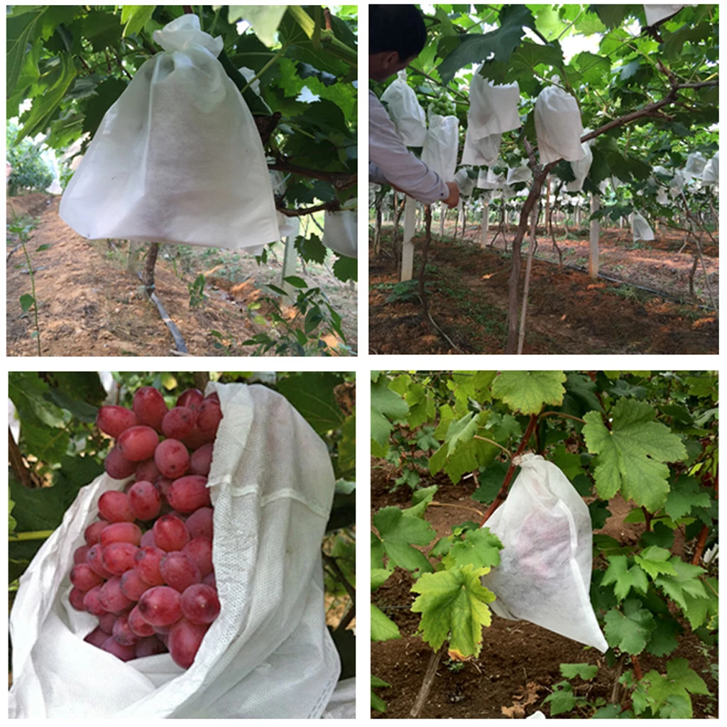 sacos de proteção de frutas saco de
