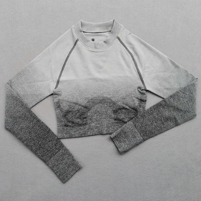 Gray Top Женский комплект для йоги, одежда для спортзала, Омбре, бесшовные градиентные леггинсы+ Топ с длинным рукавом, спортивный костюм для тренировок, Женский комплект для фитнеса, одежда для активного отдыха - Цвет: Gray Top