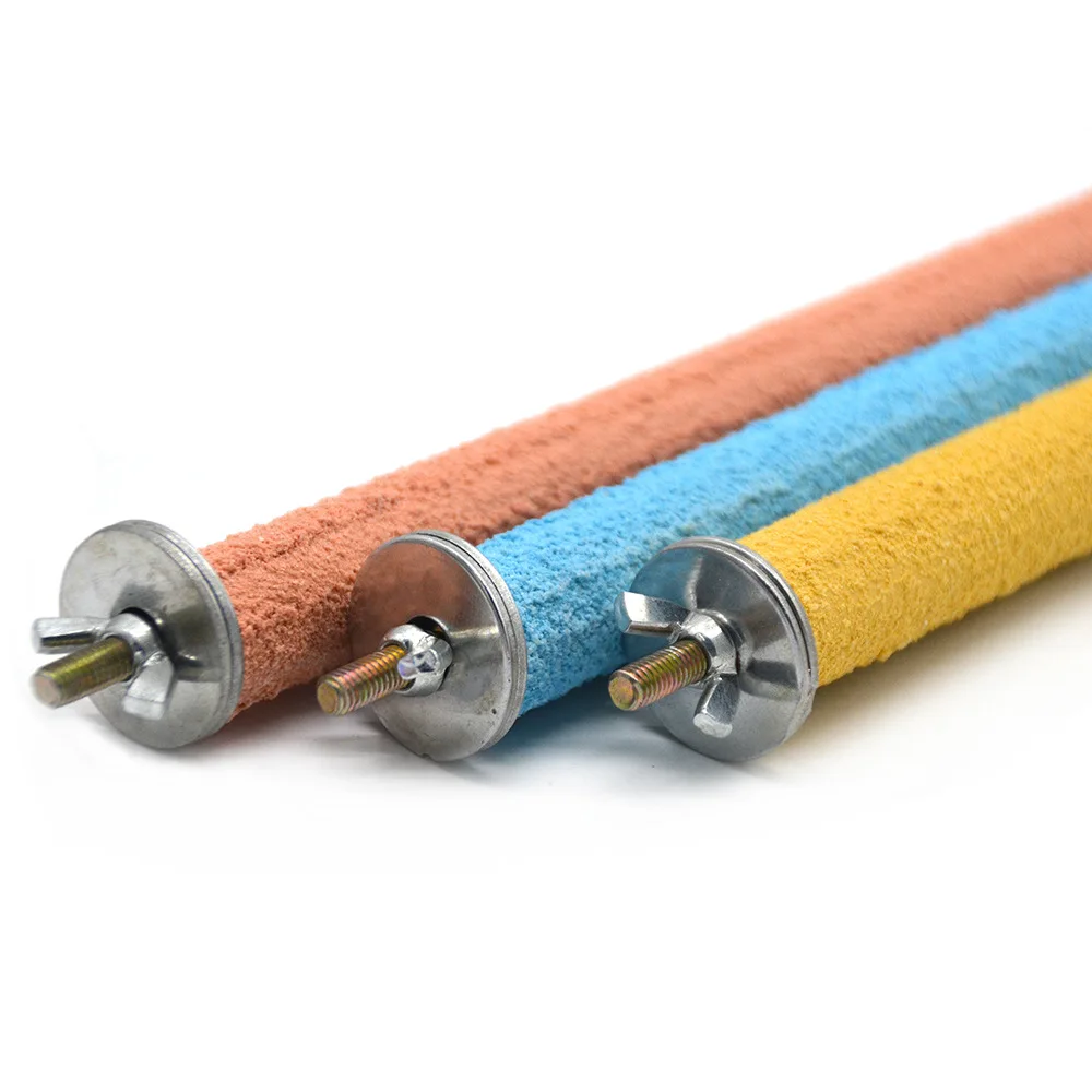 5273364889_1550852929