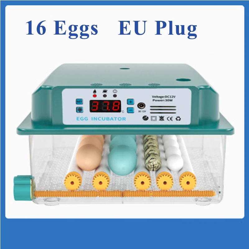 16 eggs EU plug
