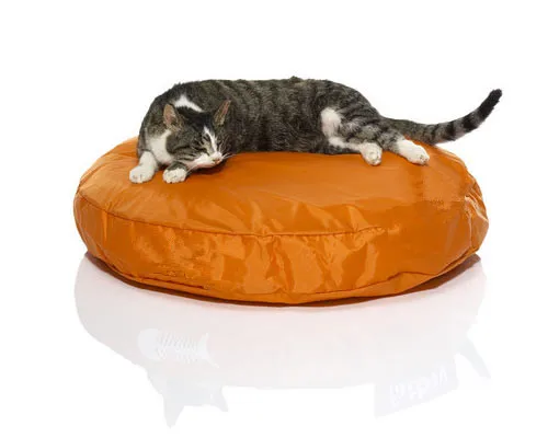 orange Кошка beanbag кровати, непромокаемый бобовый мешок pet bean bag lounge - Цвет: orange