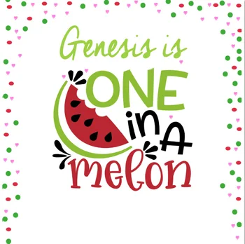 

8x8FT Happy Birthday Party Watermelon Spots Herarts Personalized DIY Custom Photo Studio Background Backdrop Vinyl 10x10 10x12