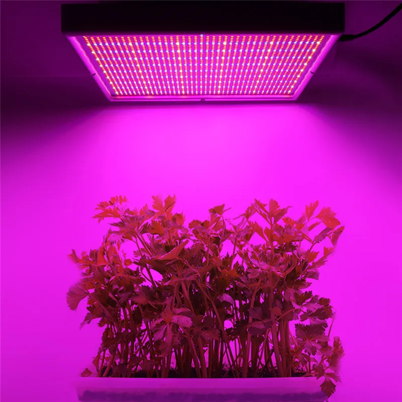 200 Вт светильник для выращивания растений, светодиодный, полный спектр Гидропоника в помещении Парниковый, лампа для выращивания растений, цветов с регулируемой яркостью