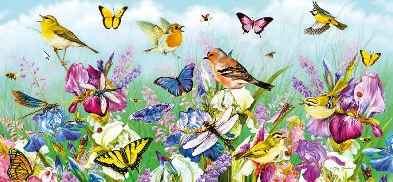 Butterflies and Blooms