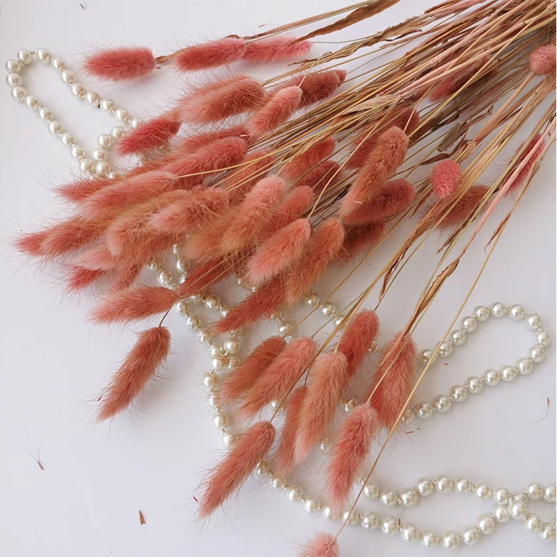 10pcs/lot Natural Dried Flower Pampas Rabbit Tail Grass Bouquet Floral Lagurus Ovatus Wedding Home Party Decoration Festival | Дом и сад