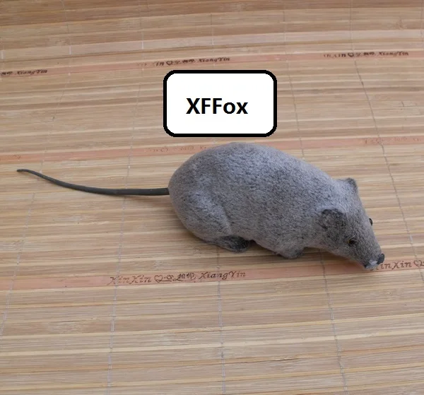 HTB10Q.dLFXXXXXZXVXXq6xXFXXXB