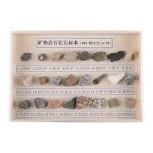 mineral rock fossil specimens 24 kinds of rock fossils earth rock mineral teaching demonstration