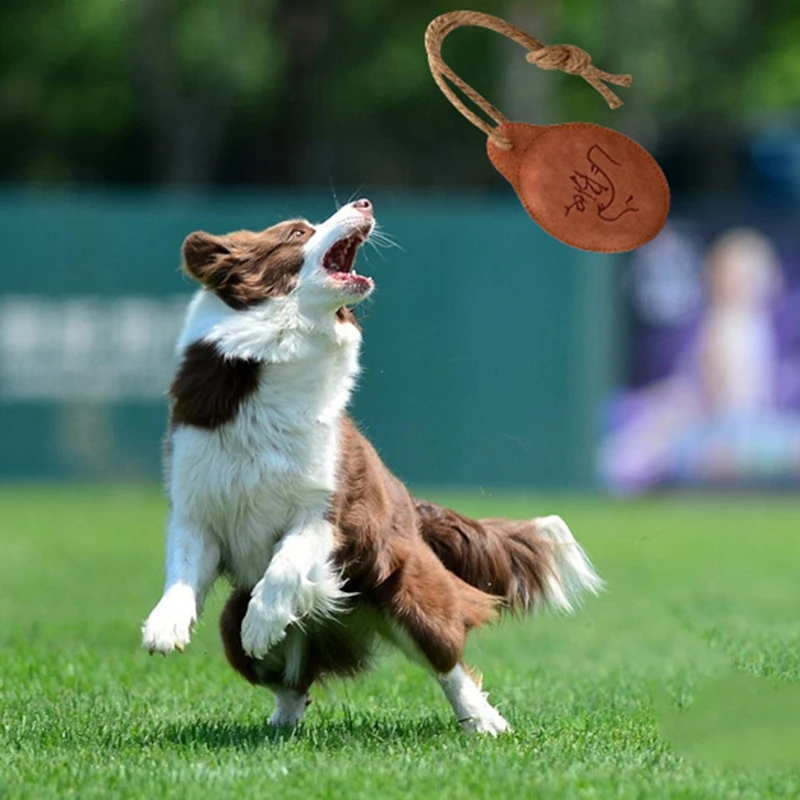 Multifunction Pet Molar Bite Toy Dog Chew Toys Pet Interactive Training Toy Throw and Catch Disc Pet Toy
