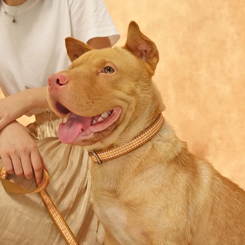 MUTTCO пользовательские ошейники для щенков с именем розничная ошейник с гравировкой ошейник для собак коричневый клетчатый ошейник для собак 5 размеров UDC013
