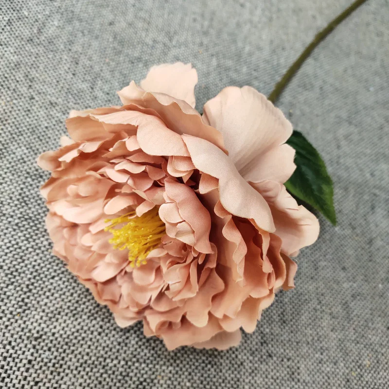 17653669820_1611482457