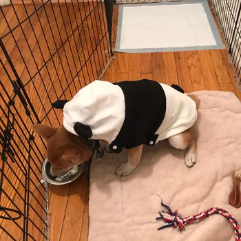 

Pet Dog Clothes For Small Dogs Clothing Warm Clothing for Dogs Coat Puppy Cute Panda Shaped Clothes Cats Dog Hoodies Chihuahua