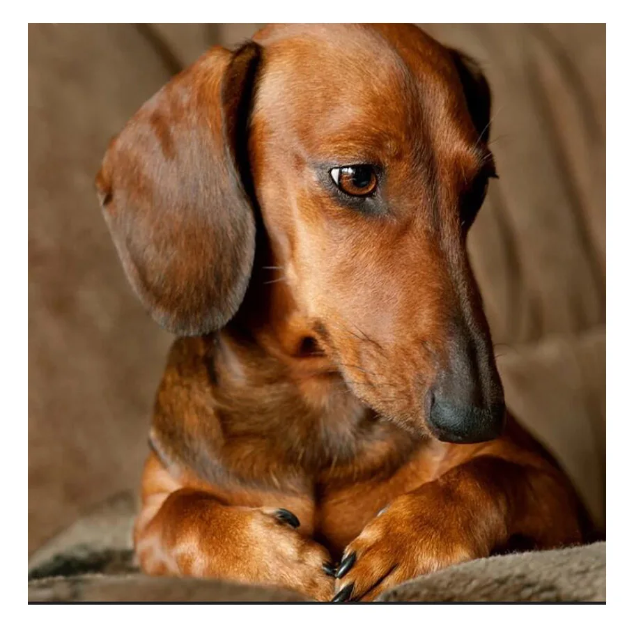 H8d783daae36245febb60c65965af201cQ