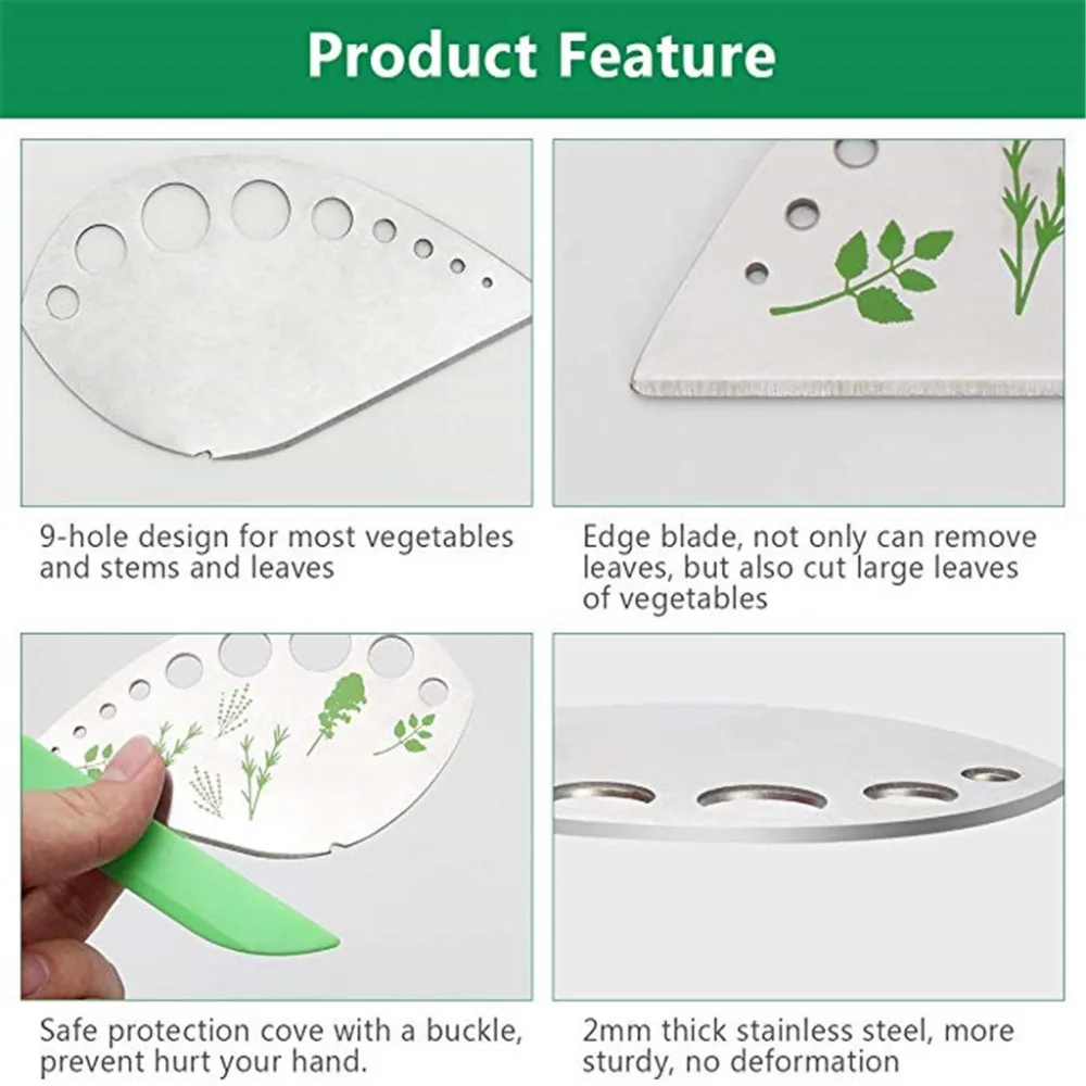 SUN91231052_0306443971581988813