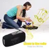 Portable Audio 
