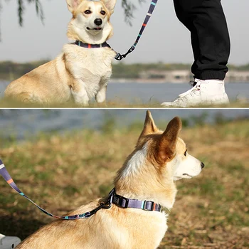 

Pet 8 Patterns Soft Comfy Print Dog Collars Harnesses Leashes Pet Printed Dog Collar Leash SNO88