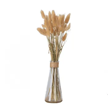 

Free Shipping 20pcs Wedding home decor rabbit dog tail grass dried real pampas grass decor home office flower bunch No Vase