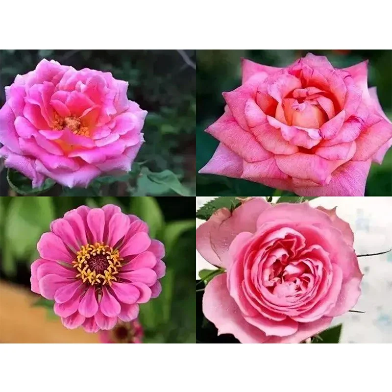 5D DIY Diamond Painting Cross Stitch Pink Flower Embroidery Mosaic Full Square Round Drill Wall Decor Handcraft Gift | Дом и сад
