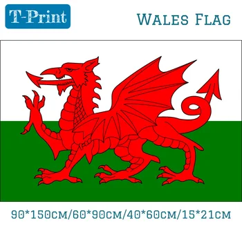 

10PCS Flag 90*150cm/60*90cm/40*60cm/15*21cm Wales National Flag banner Home Decoration Celebration For Parade Football