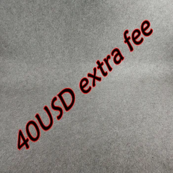 

40USD extra fee payment link