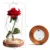 LED Beauty And The Beast Red Rose In Flask Glass Вечные Розы Для Рождественских Подарков Семейное Украшение Подарок На День Святого Валентина