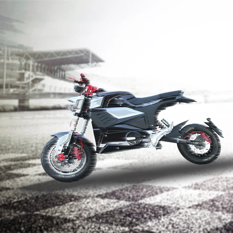 Customizable Electric Motorcycle 48V 60 80km Range E font b Bike b font Brushless Gear Hub