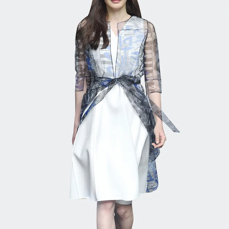 

V-neck Sleeveless Dress Organza Transparent Thin Coat Two-Piece Set Spring And Summer Casual Western Style Fashion Set Fashion