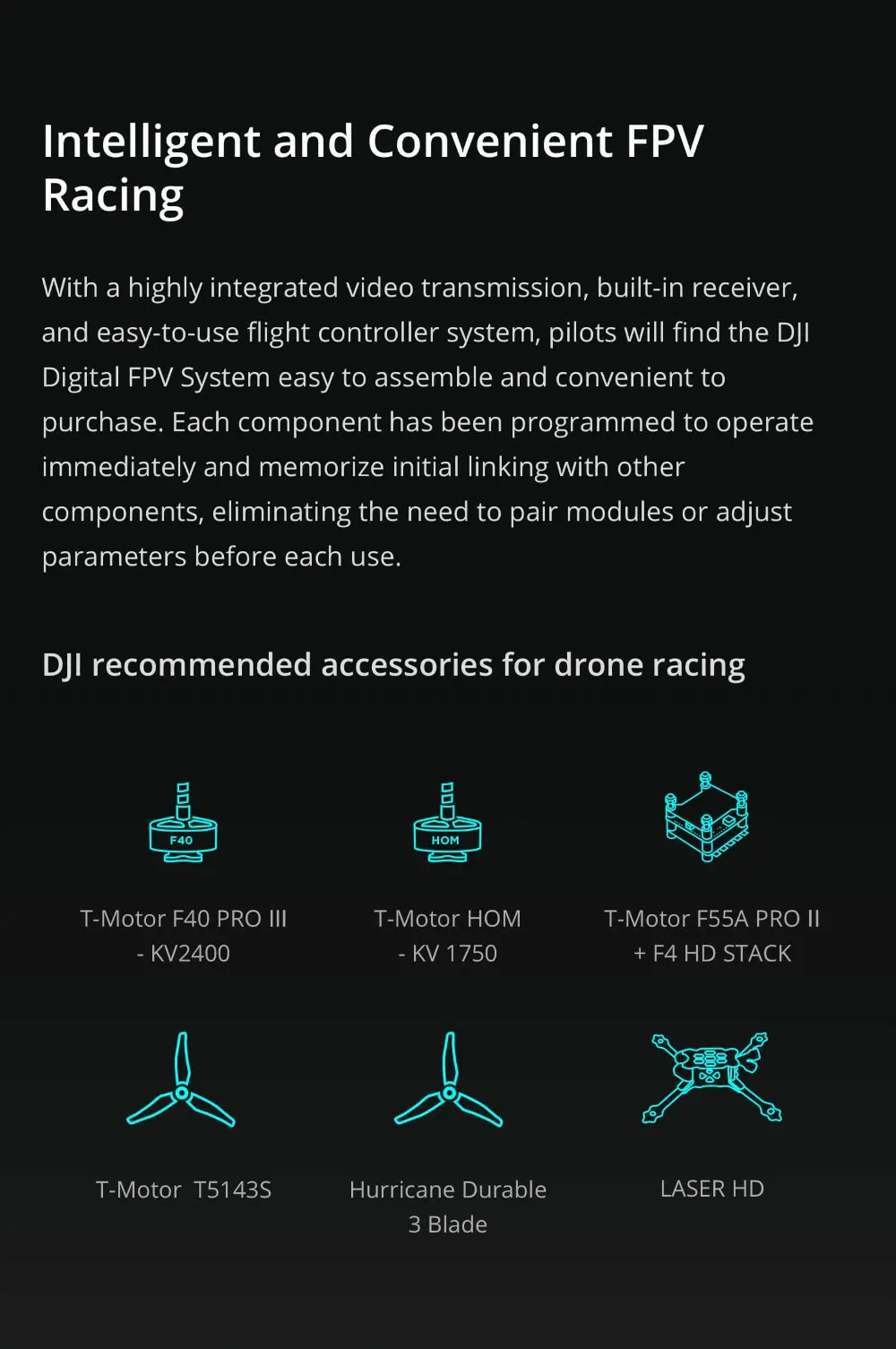 DJI FPV Experience Combo